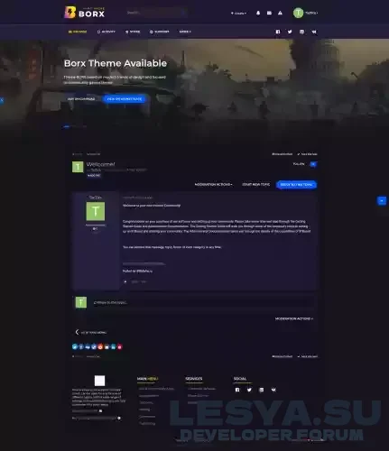 Подробнее о "Borx Gaming"