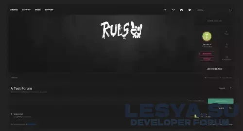 Подробнее о "Ruls"