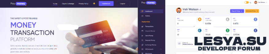 PayMoney NULLED