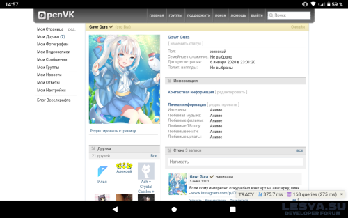 Подробнее о "Скрипт социальной сети OpenVk"