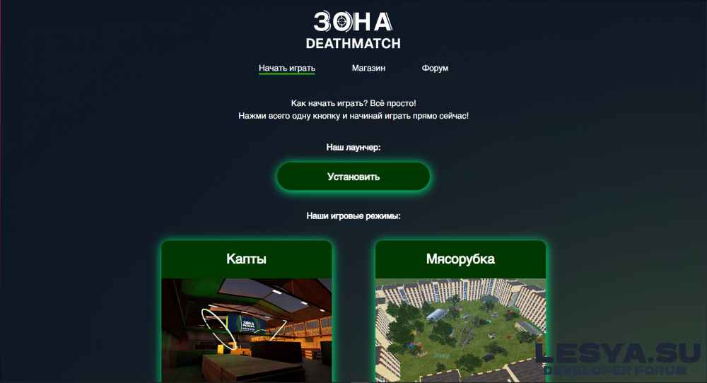 Шаблон Zona DM [2024]