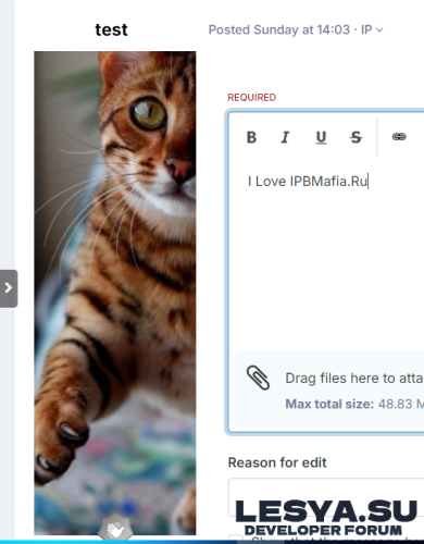 Подробнее о "Large Avatars"