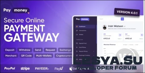 Подробнее о "PayMoney v4.0.1 NULLED +app - скрипт платежного шлюза"