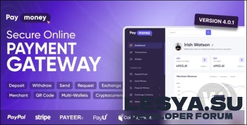PayMoney v4.0.1 NULLED +app - скрипт платежного шлюза