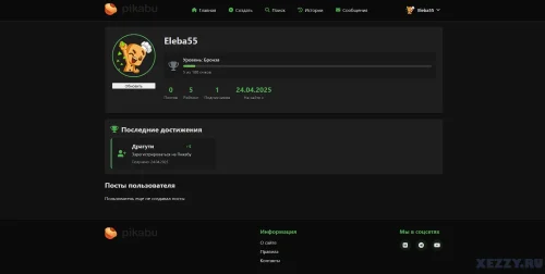 Подробнее о "Скрипт сайта ПИКАБУ"